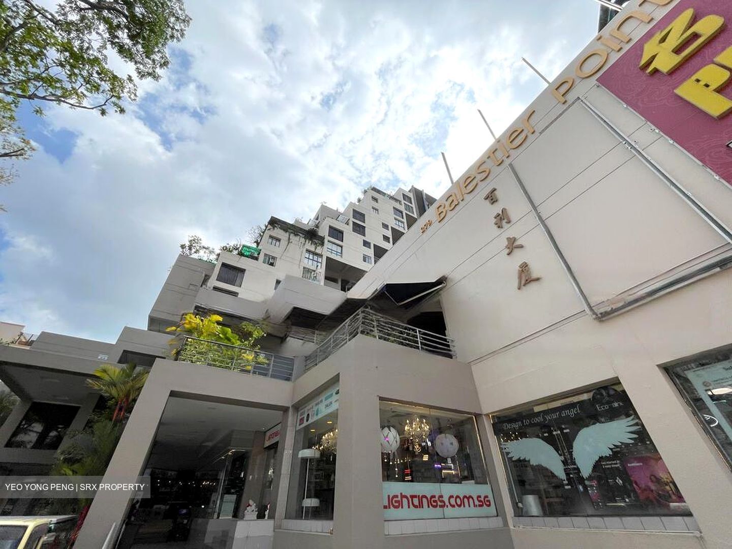 Balestier Road (D12), Shop House #454858871